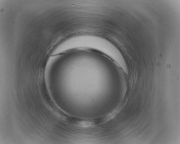 X0000083040168200702231939