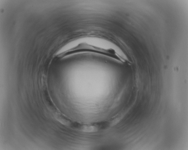 X0000083040169200702231939