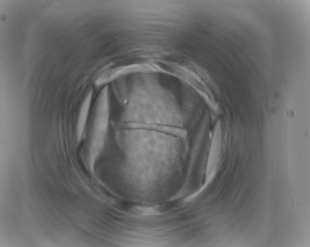 X0000083040170200702231939