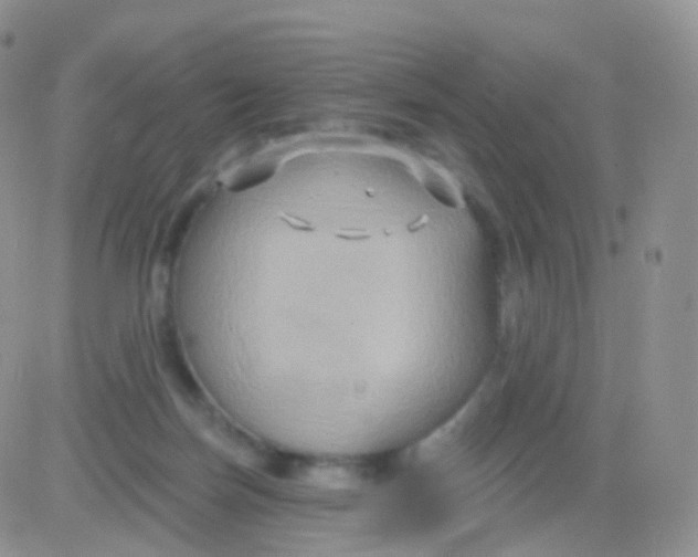 X0000083040171200702231939