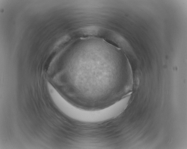 X0000083040172200702231939