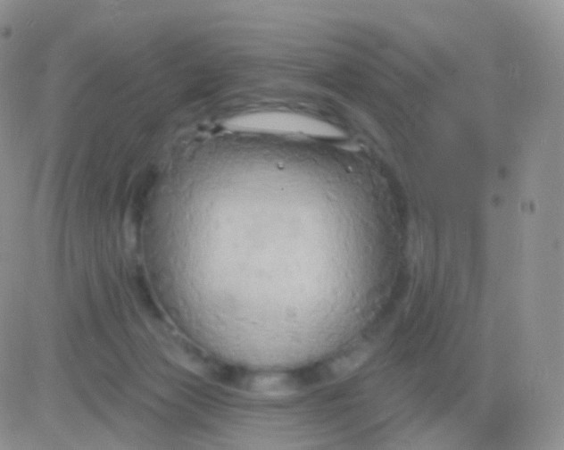 X0000083040173200702231939