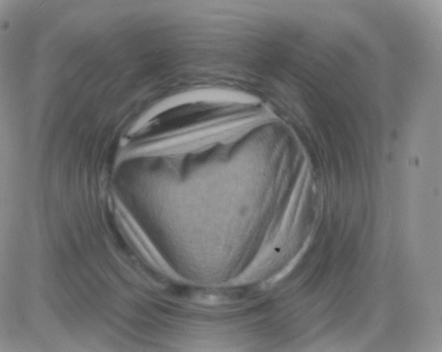 X0000083040174200702231939