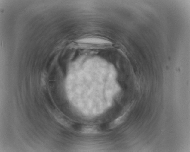 X0000083040175200702231939