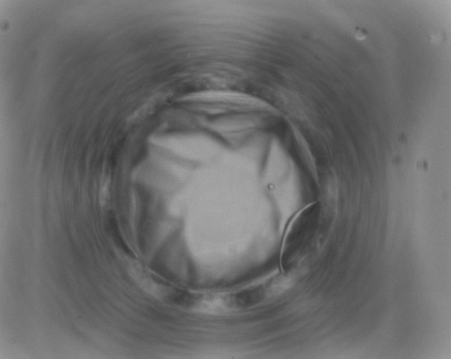 X0000083040177200702231939