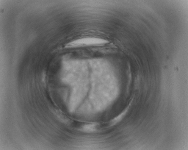 X0000083040178200702231939