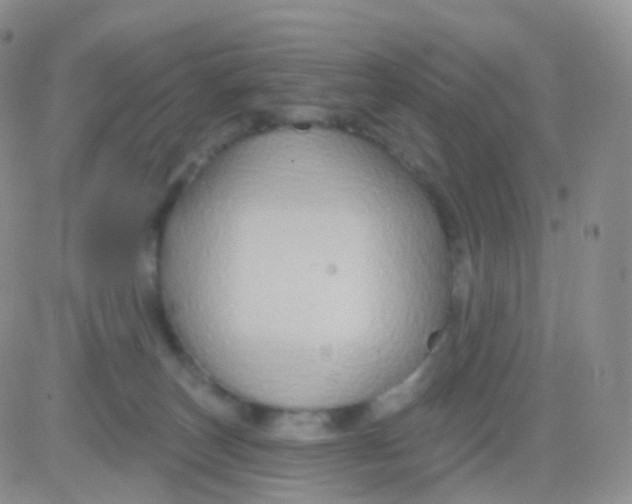 X0000083040179200702231939