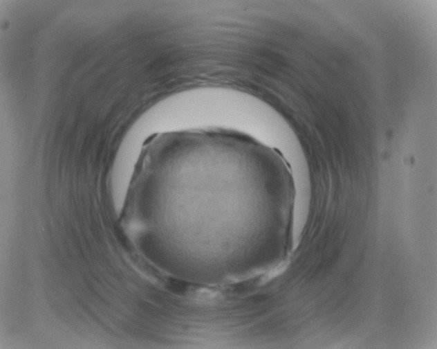 X0000083040180200702231939