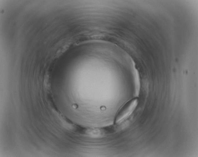 X0000083040181200702231939