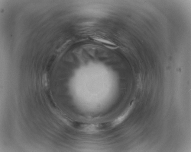 X0000083040182200702231939