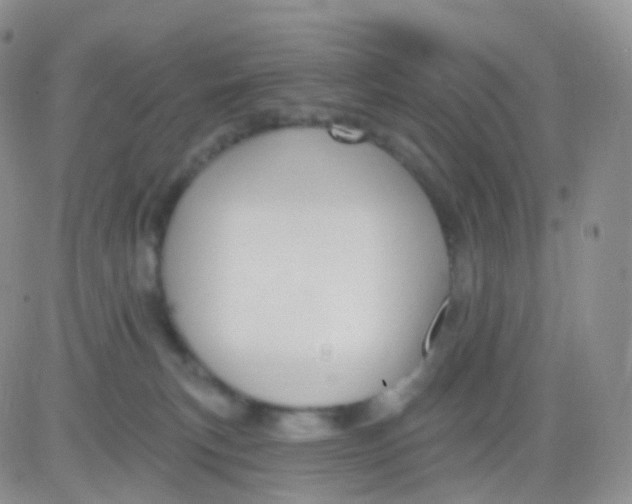 X0000083040183200702231939