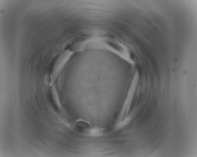 X0000083040184200702231939