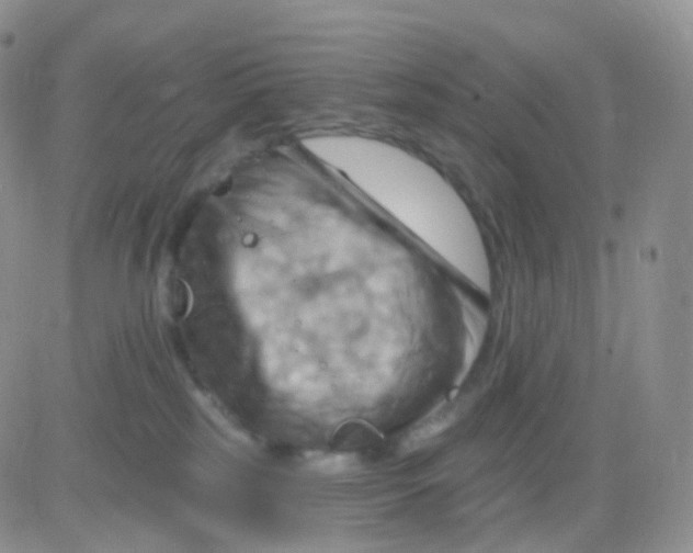 X0000083040185200702231939