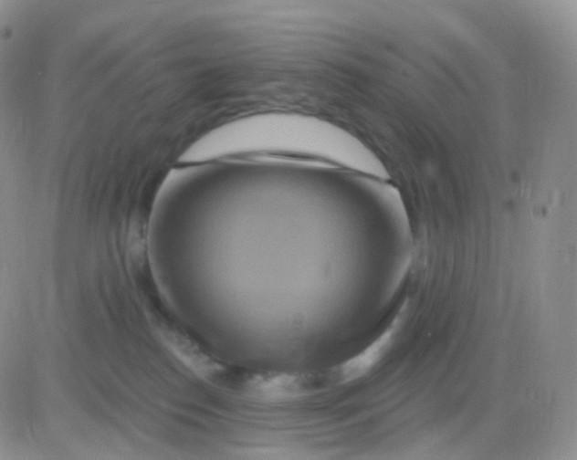 X0000083040186200702231939