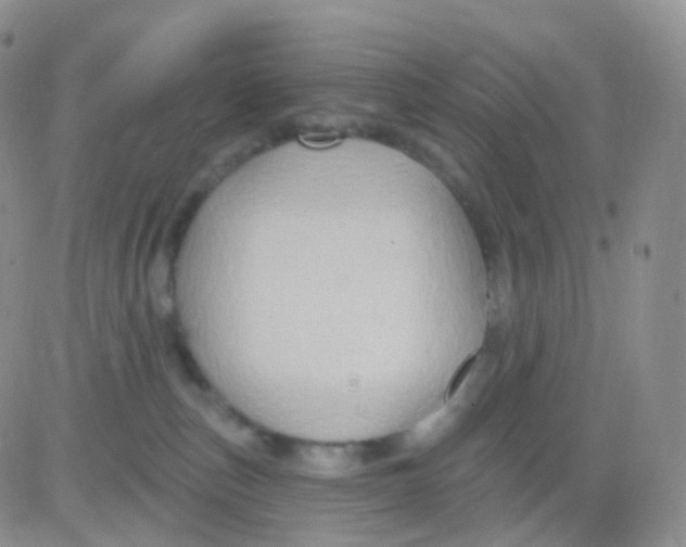 X0000083040187200702231939