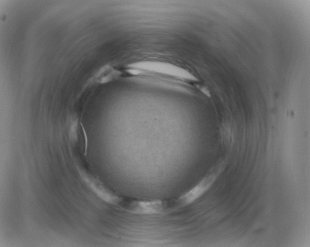 X0000083040188200702231939