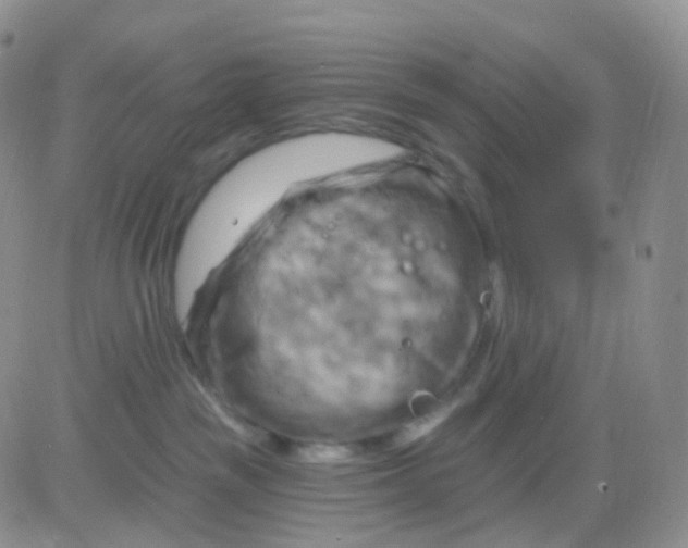 X0000083040189200702231939