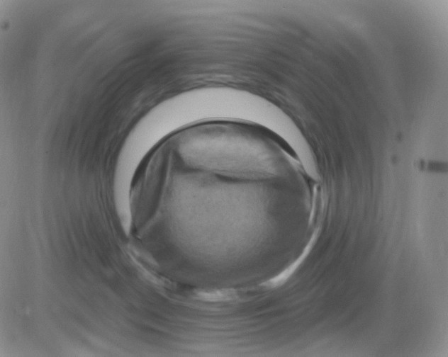 X0000083040190200702231939