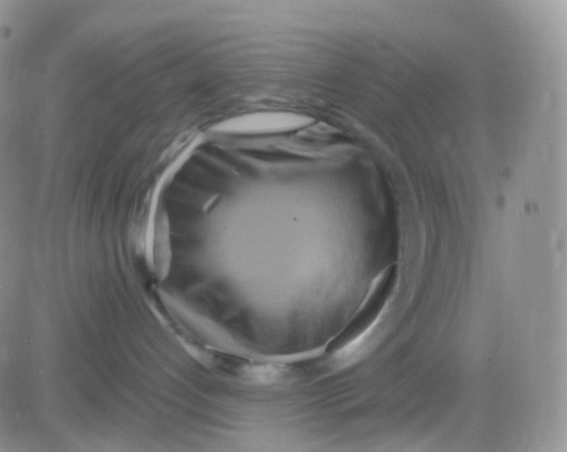 X0000083040192200702231939