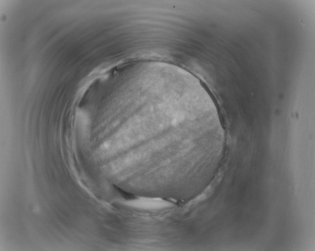 X0000083040193200702231938