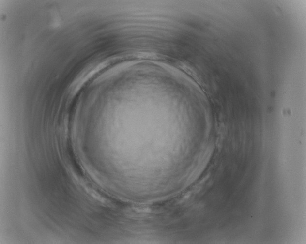 X0000083040194200702231938