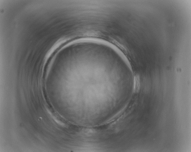 X0000083040195200702231938