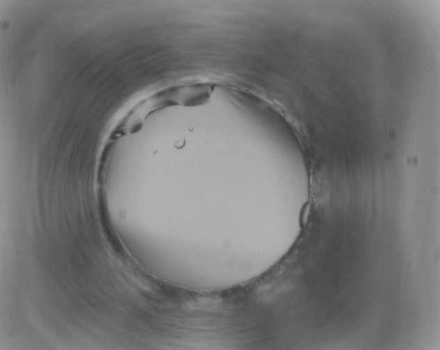 X0000083040196200702231938