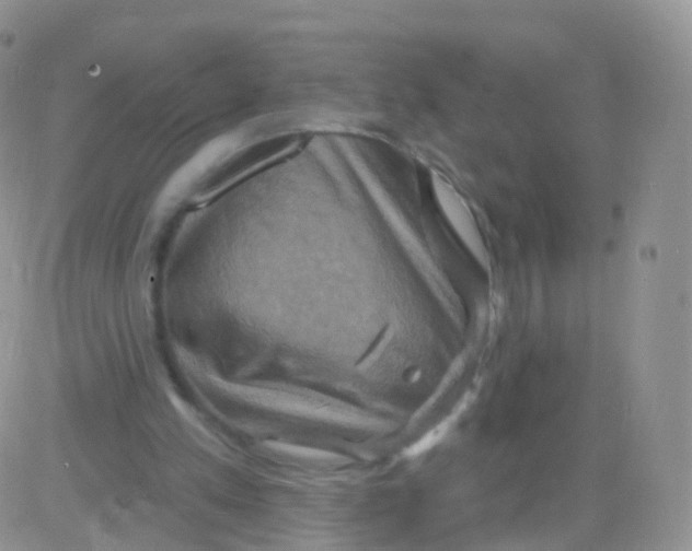 X0000083040197200702231938