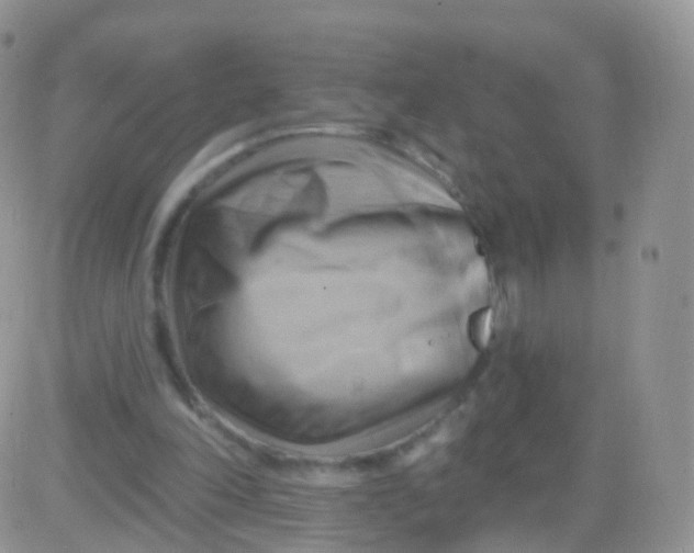 X0000083040198200702231938