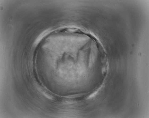 X0000083040199200702231938