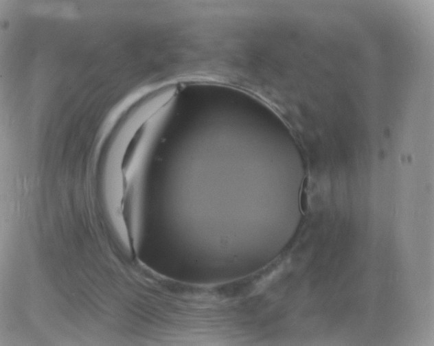 X0000083040200200702231938