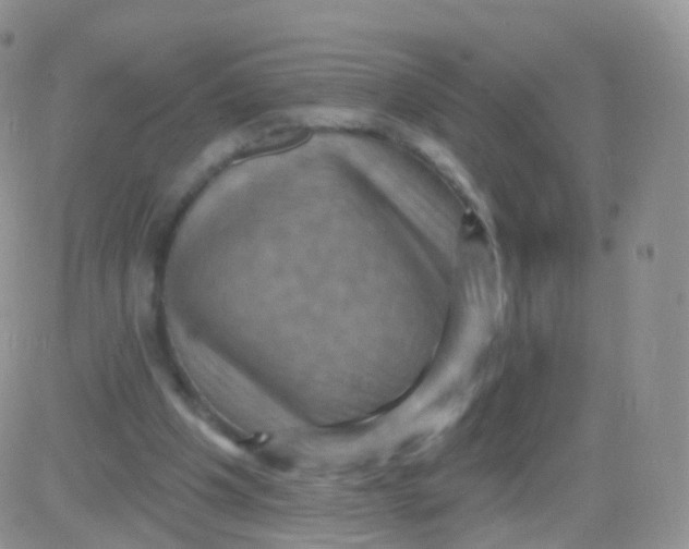 X0000083040201200702231938