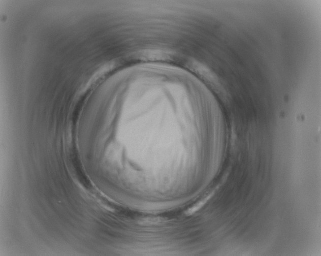 X0000083040202200702231938