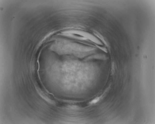 X0000083040203200702231938