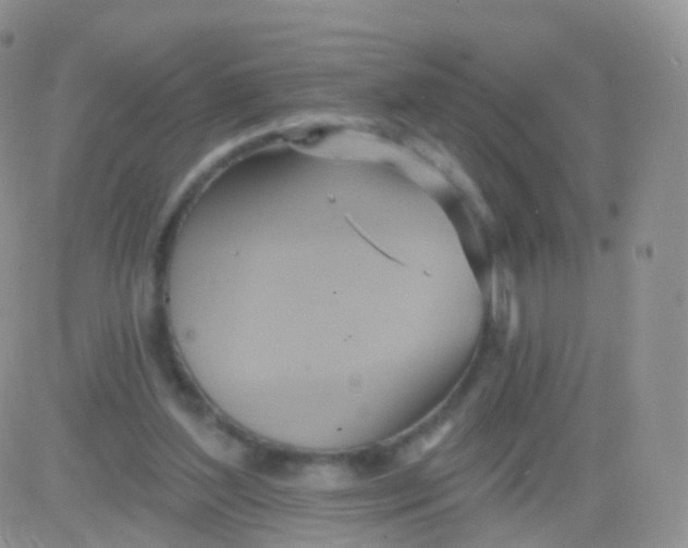 X0000083040204200702231938