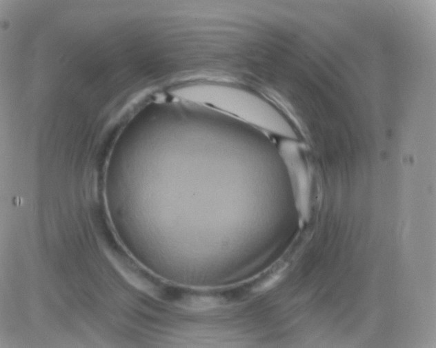 X0000083040205200702231938