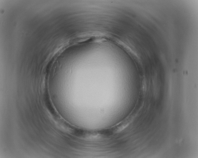 X0000083040206200702231938