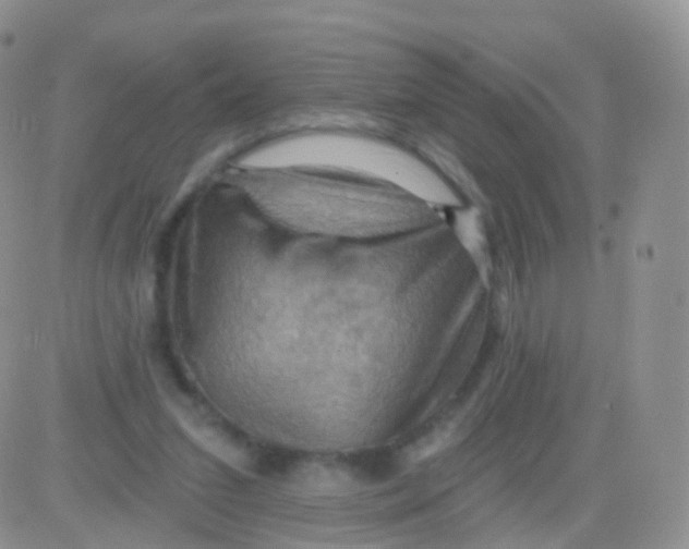 X0000083040207200702231938