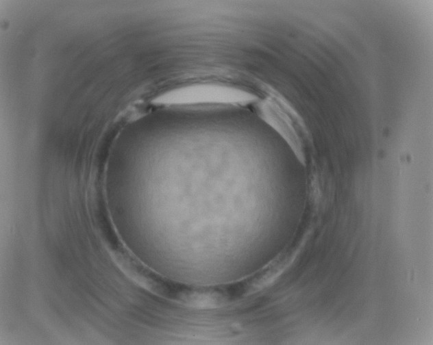 X0000083040209200702231938