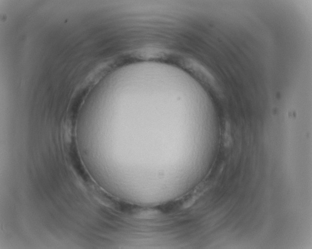 X0000083040210200702231938