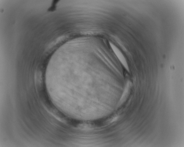 X0000083040211200702231938