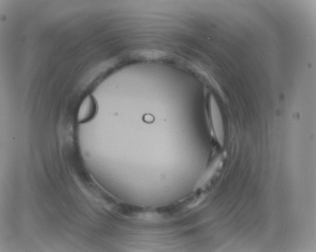 X0000083040212200702231938