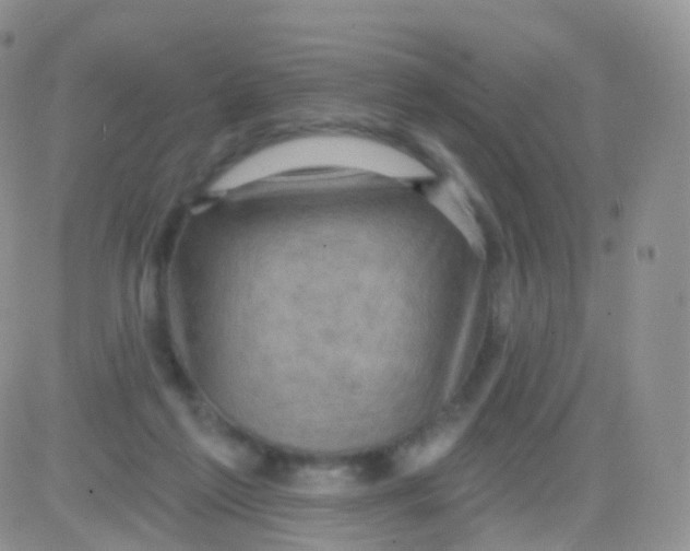 X0000083040213200702231938