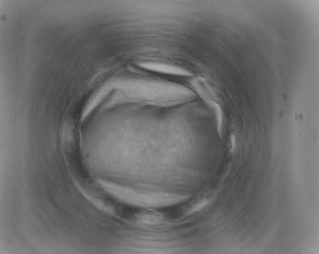 X0000083040215200702231938