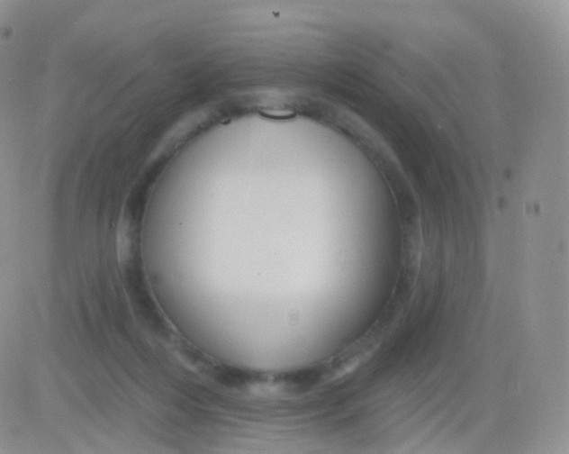 X0000083040216200702231938