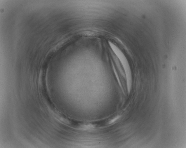 X0000083040217200702231938