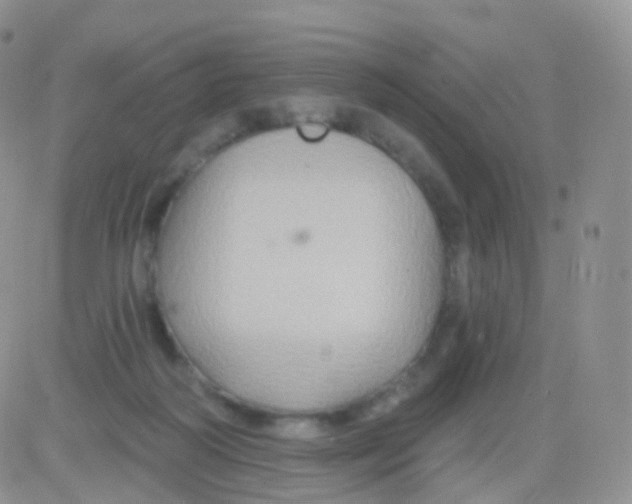 X0000083040218200702231938