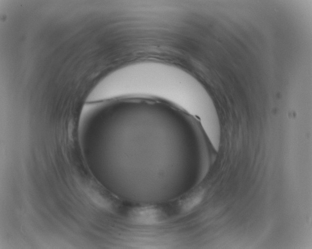 X0000083040219200702231938