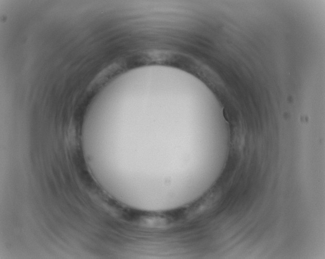 X0000083040220200702231938