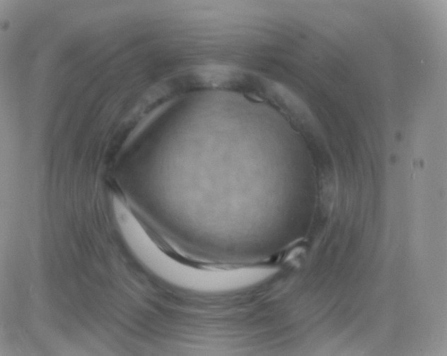 X0000083040221200702231938